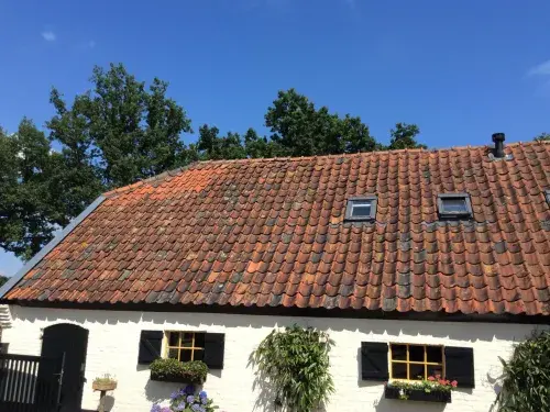 Vervangen dakpannen