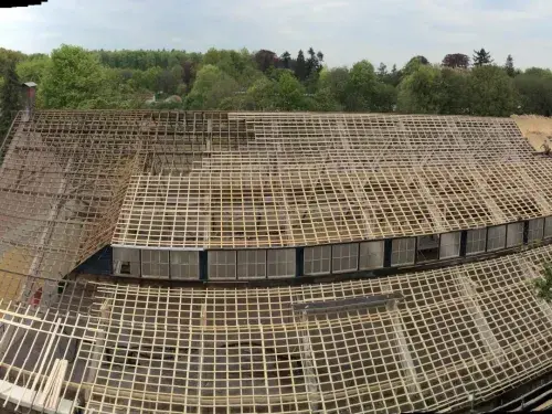 Renovatie rieten kap